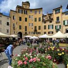 Blumenmarkt in Lucca