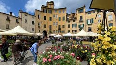 Blumenmarkt in Lucca