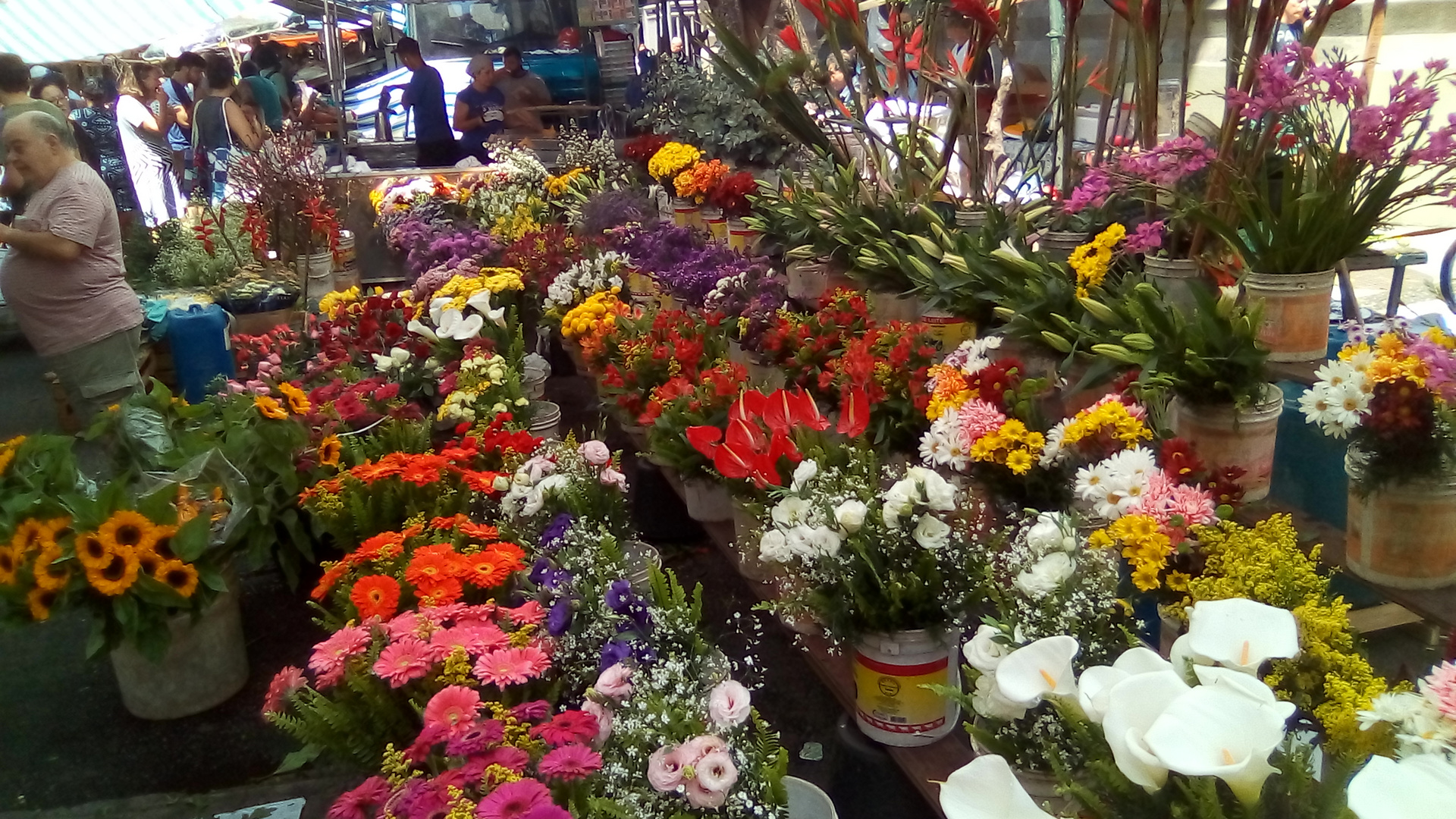 Blumenmarkt in Rio de Janeiro