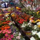 Blumenmarkt in Rio de Janeiro