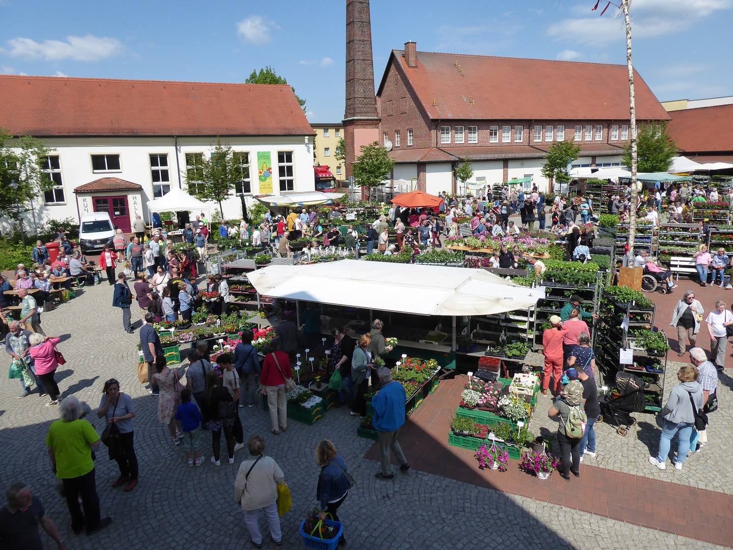 Blumenmarkt in Wiesenburg zum Muttertag