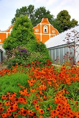 Blumenmeer (2)