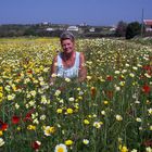 Blumenmeer an der Algarve
