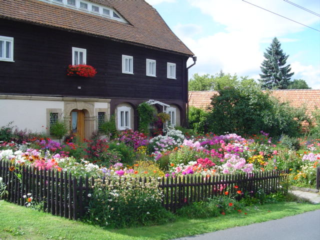 Blumenmeer