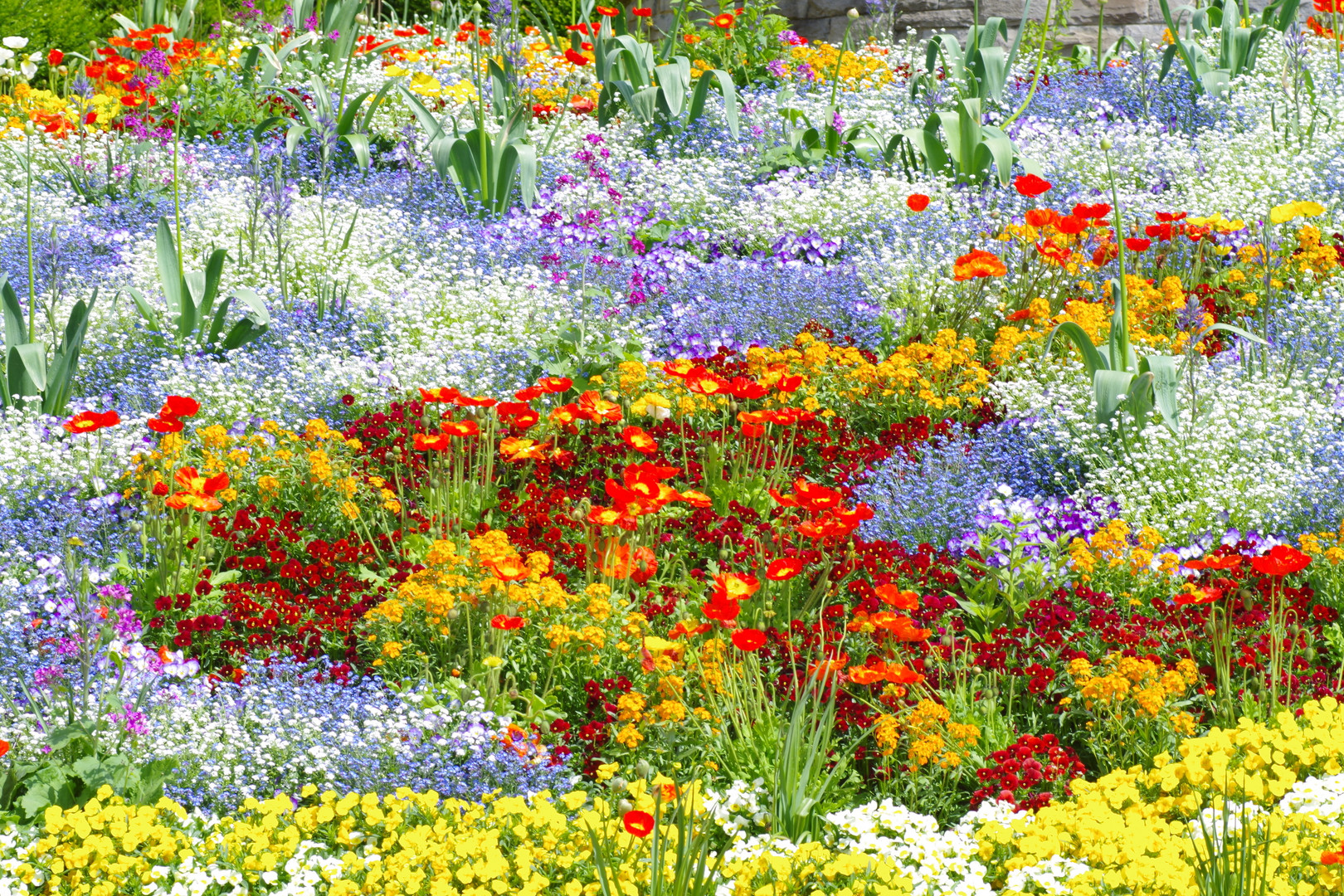 Blumenmeer Insel Mainau