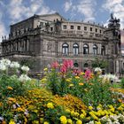 Blumenmeer vor der Semperoper