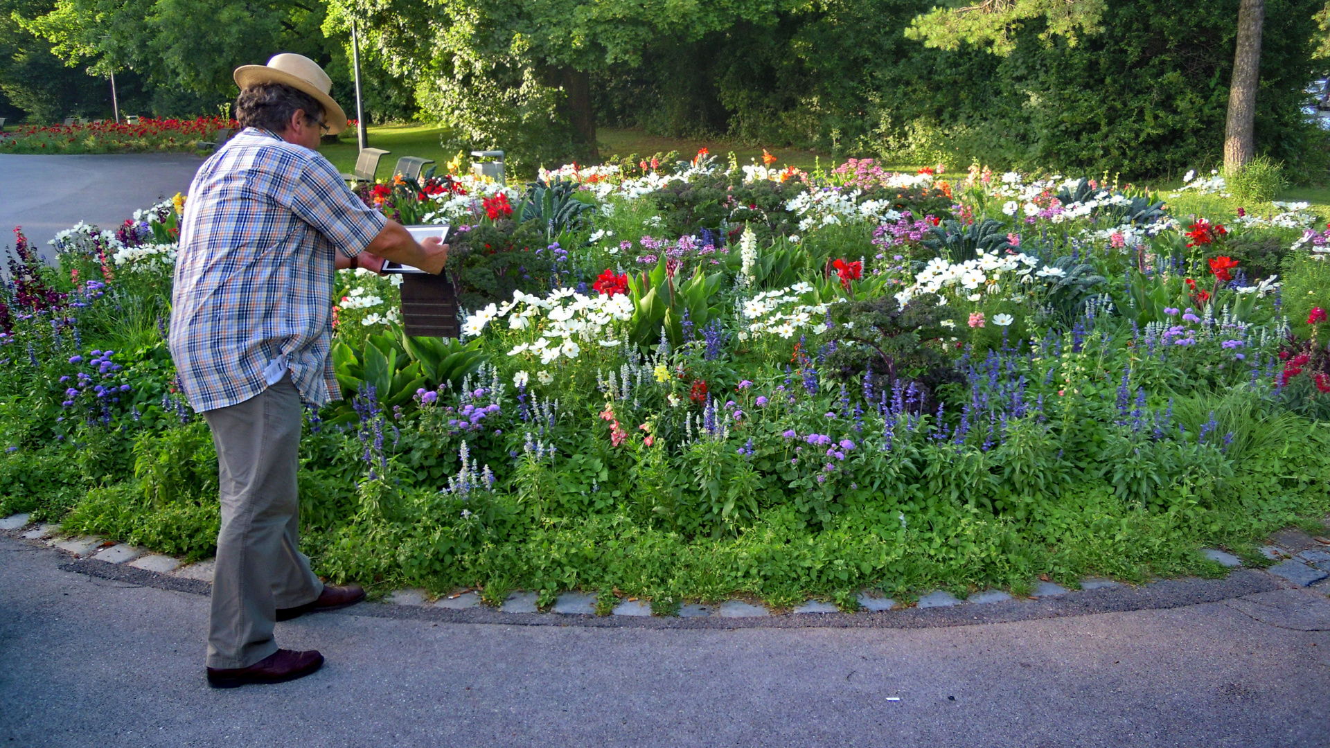 Blumenpaparazzo