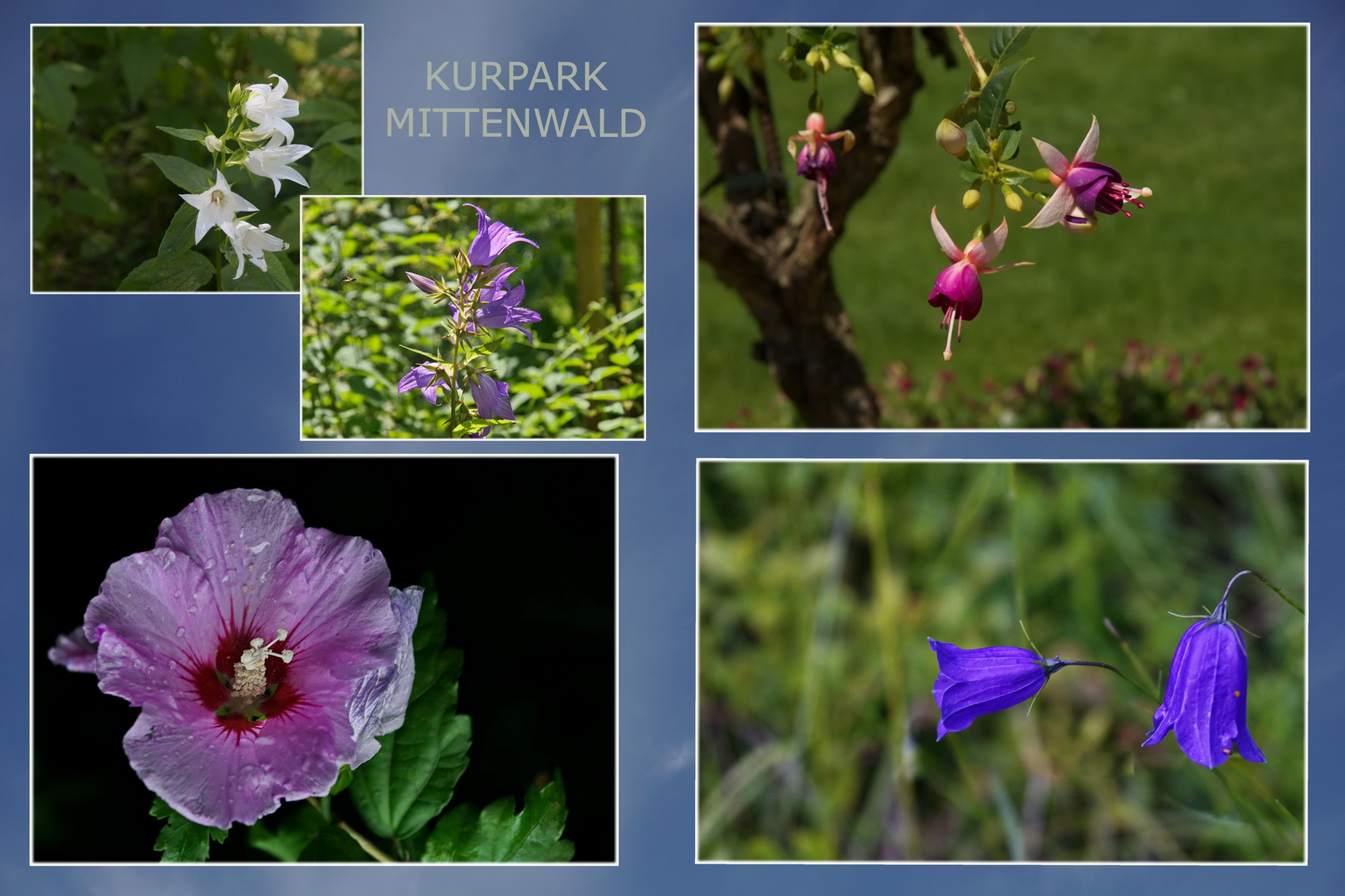 Blumenpark Mittenwald