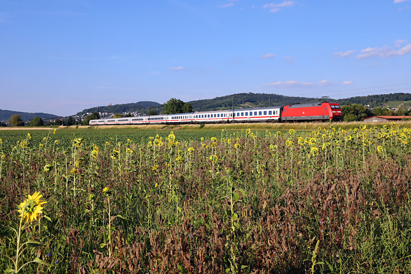 Blumenpflücken während der Fahrt nicht möglich...