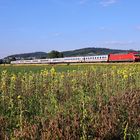 Blumenpflücken während der Fahrt nicht möglich...