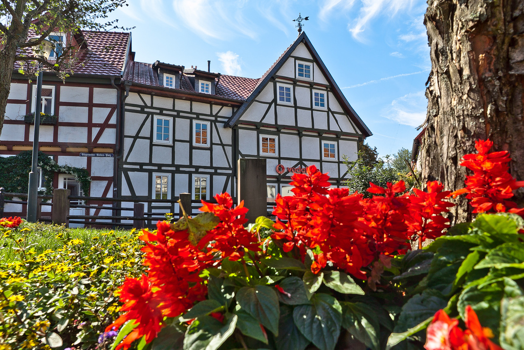 Blumenpracht am Karl-Wolter-Platz in Heilbad Heiligenstadt