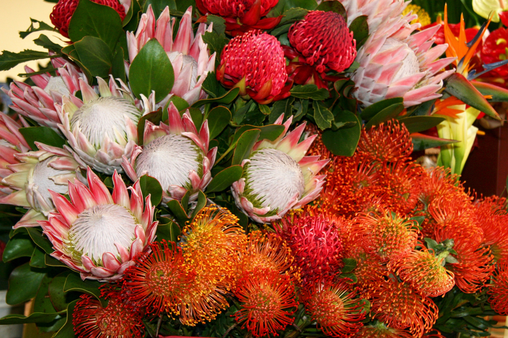 Blumenpracht auf dem Markt von Funchal