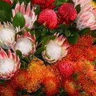 Blumenpracht auf dem Markt von Funchal