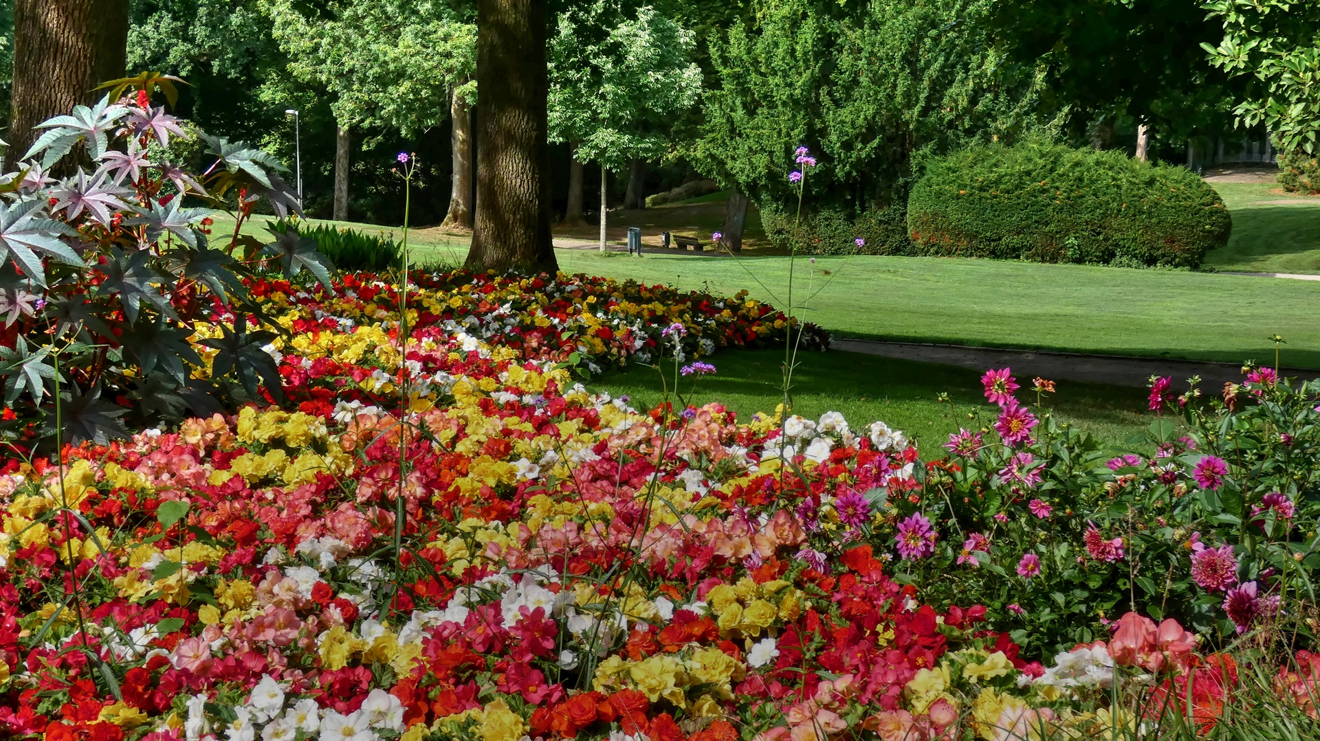 Blumenpracht auf der Hardt Foto & Bild natur, landschaft, garten und