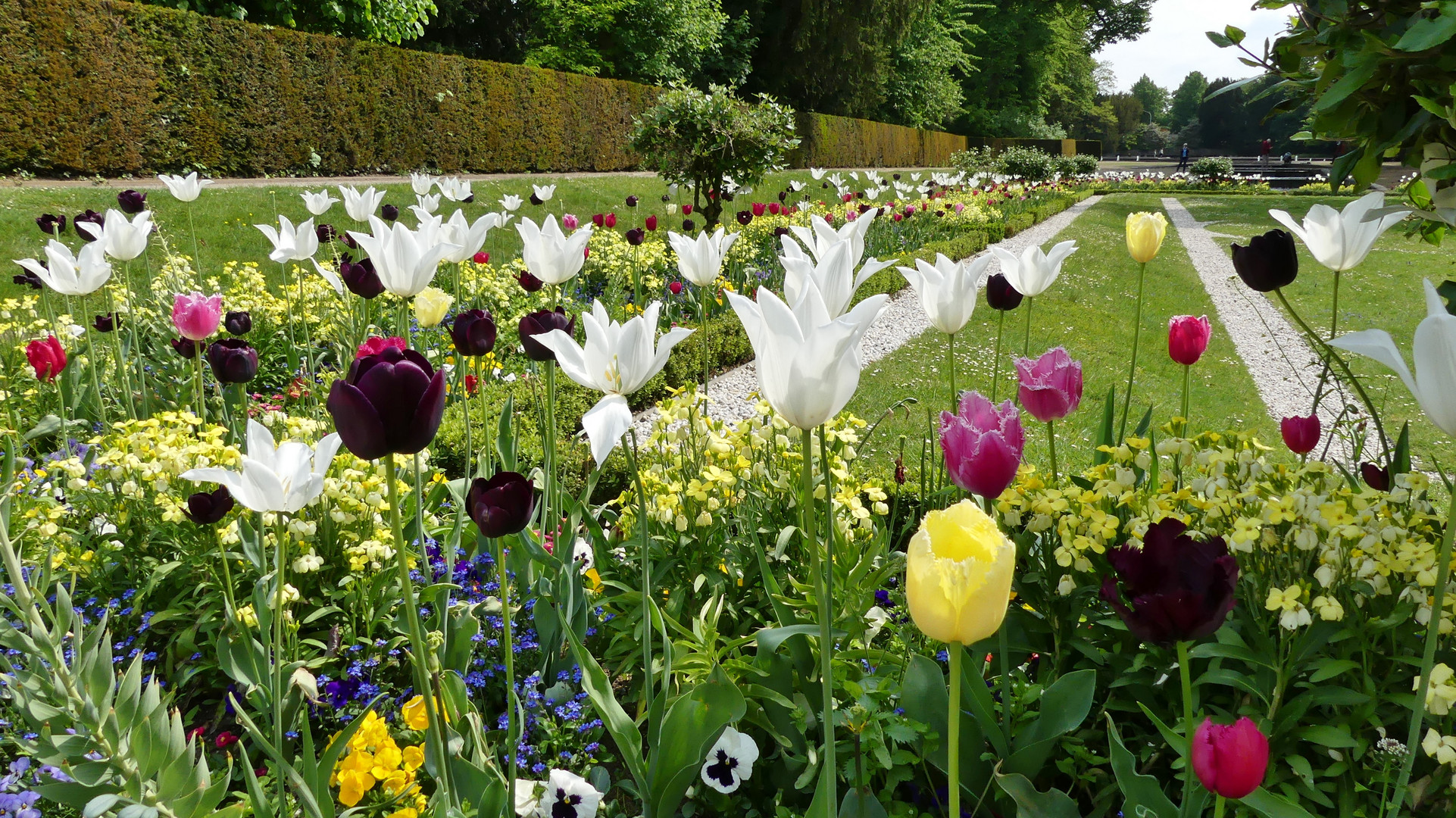 Blumenpracht im Düsseldorfer Schlosspark Benrath