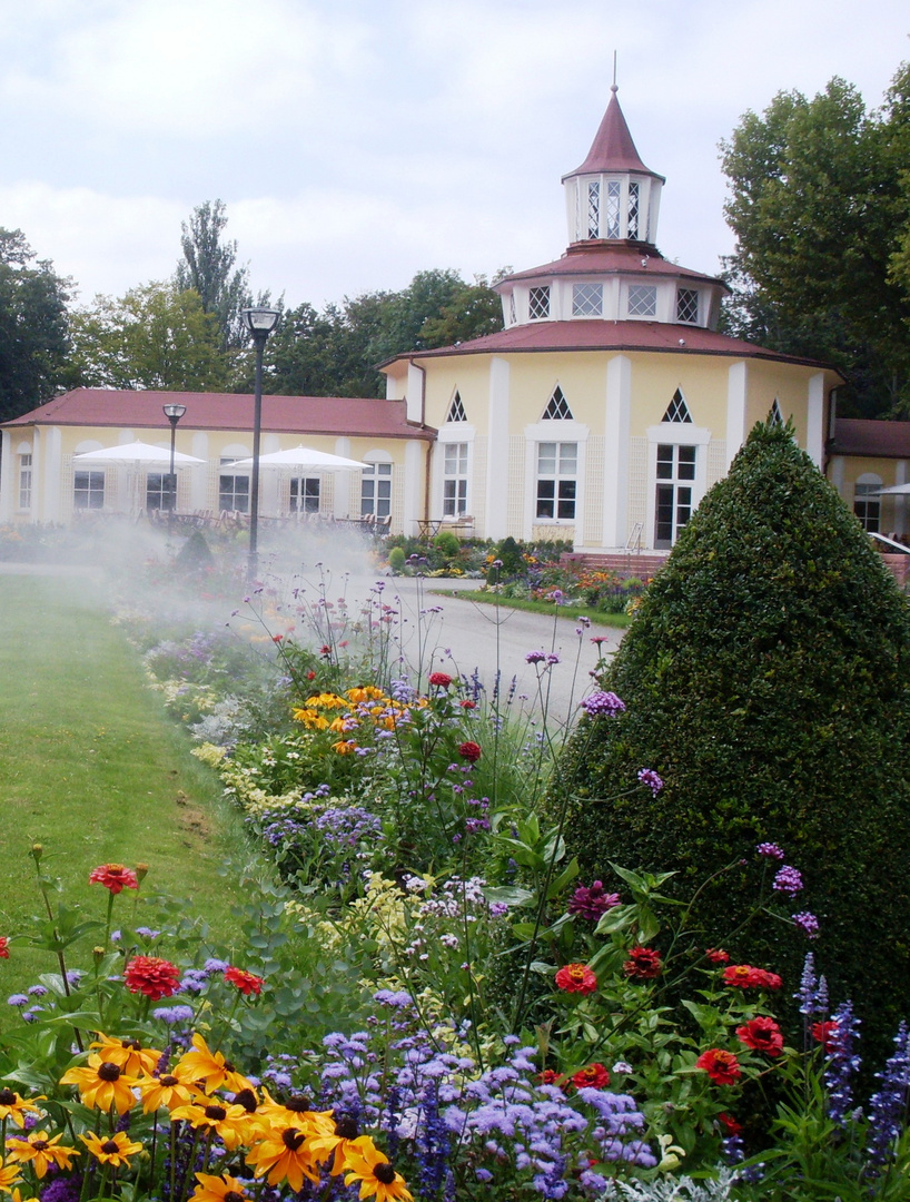 Blumenpracht im Ebertpark