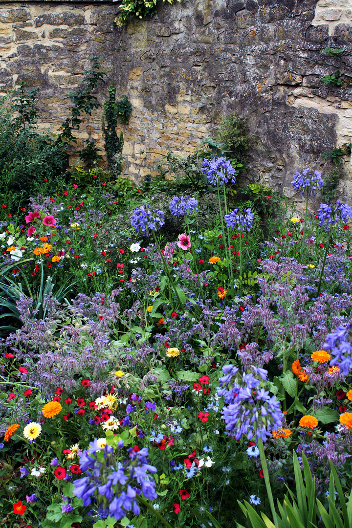 Blumenpracht im Hidcote manor Garden-2-