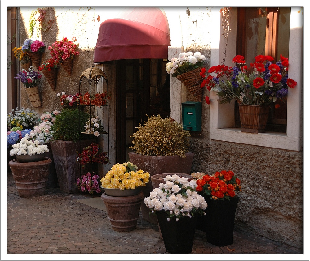 Blumenpracht in Bardolino