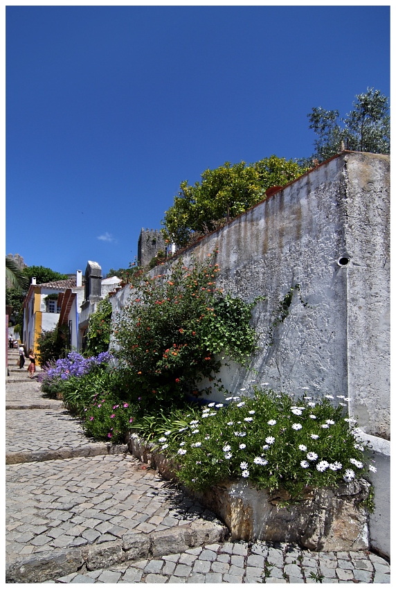 Blumenpracht in Óbidos