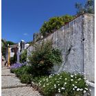 Blumenpracht in Óbidos