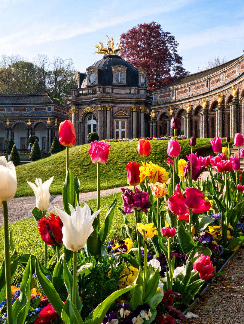 Blumenpracht in der Eremitage