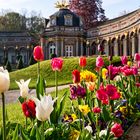 Blumenpracht in der Eremitage