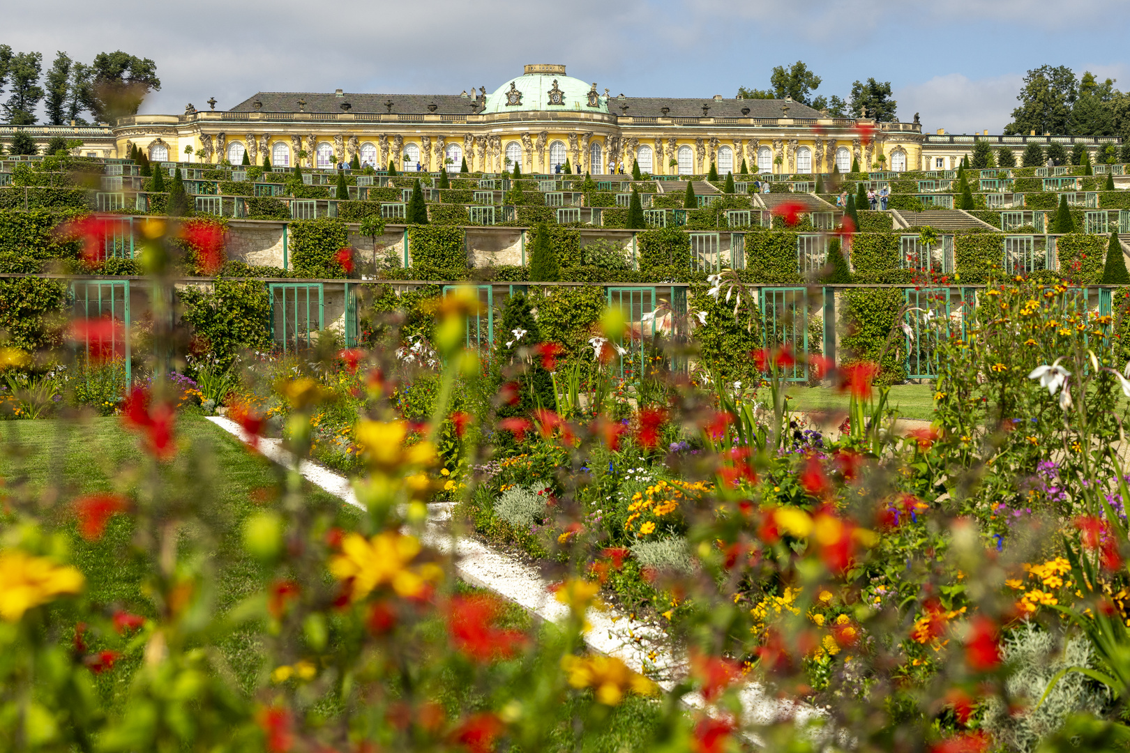  Blumenpracht in Sanssouci