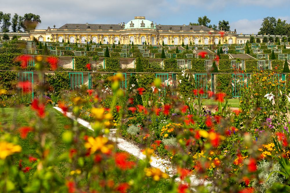  Blumenpracht in Sanssouci