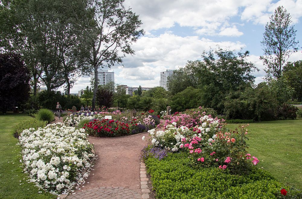 Blumenrabatte im Park