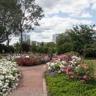 Blumenrabatte im Park