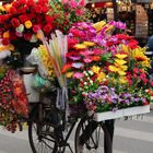 Blumenrad in Hanoi