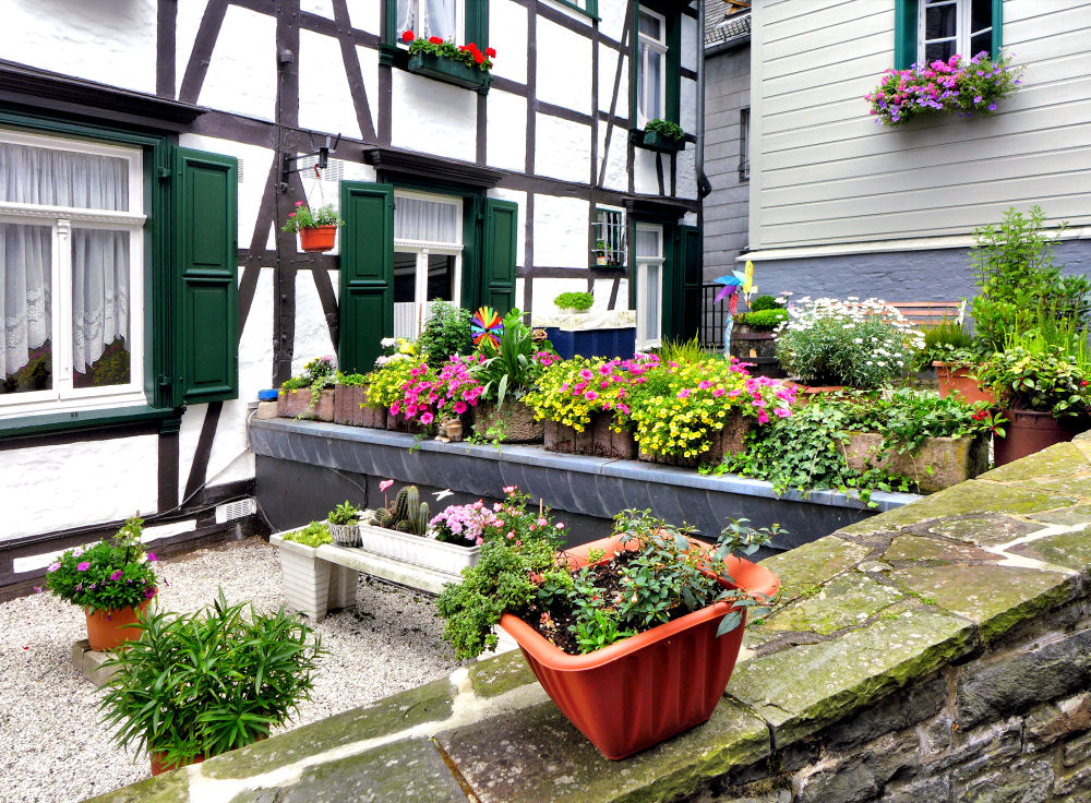 Blumenreichtum in Monschau