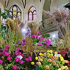 Blumenschau in der Kirche Beelitz