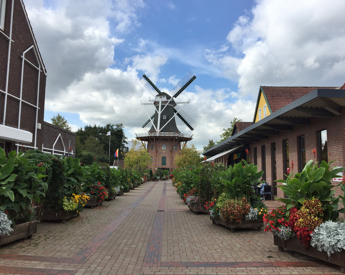 Blumenschau in Papenburg