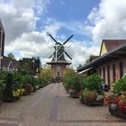 Blumenschau in Papenburg