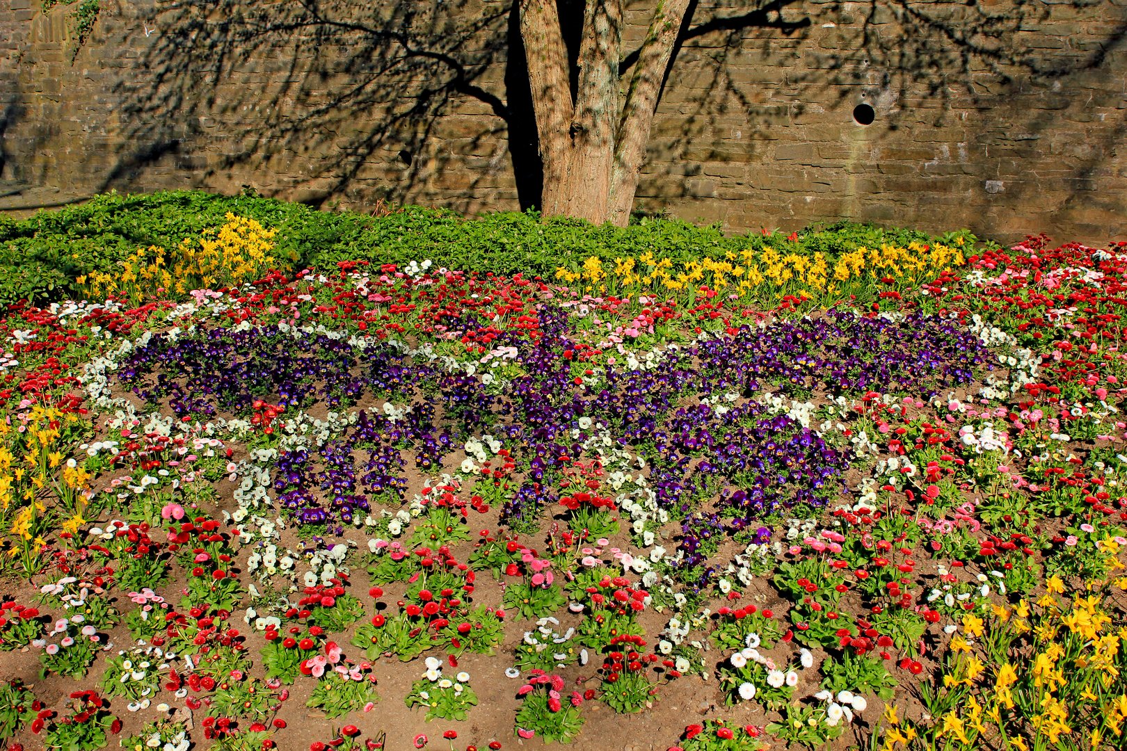 Blumenschmetterling im Schlosspark Siegen, Oberes Schloss