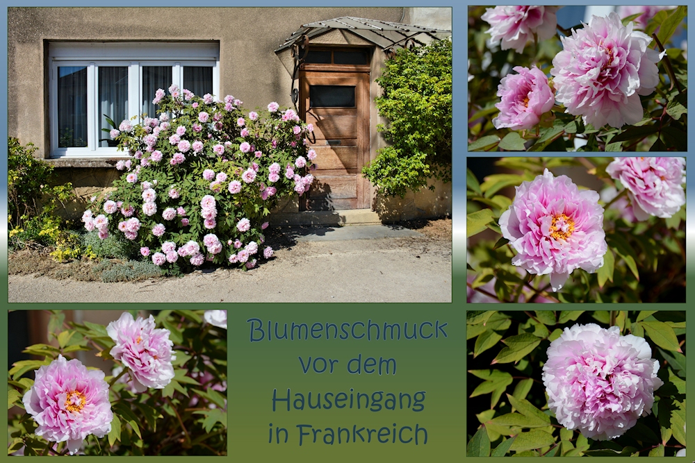 Blumenschmuck...