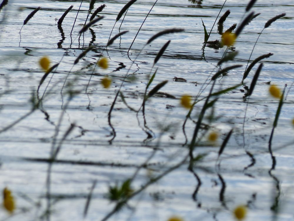 Blumenschmuck