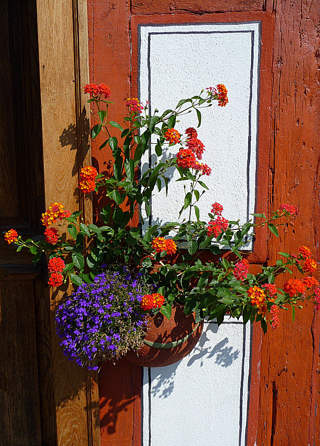 Blumenschmuck am Fachwerkhaus