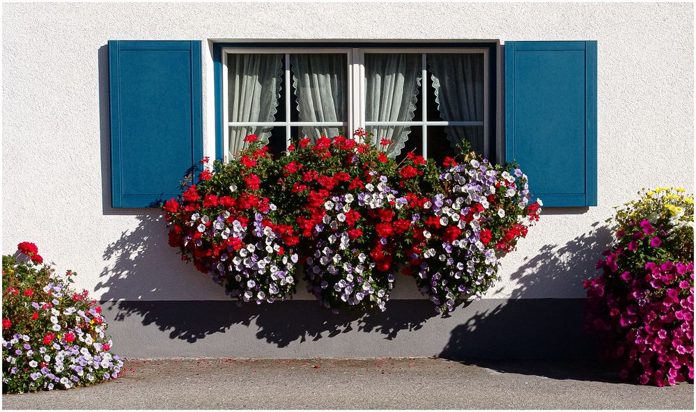 Blumenschmuck am Fenster Foto &amp; Bild fotos, sommer