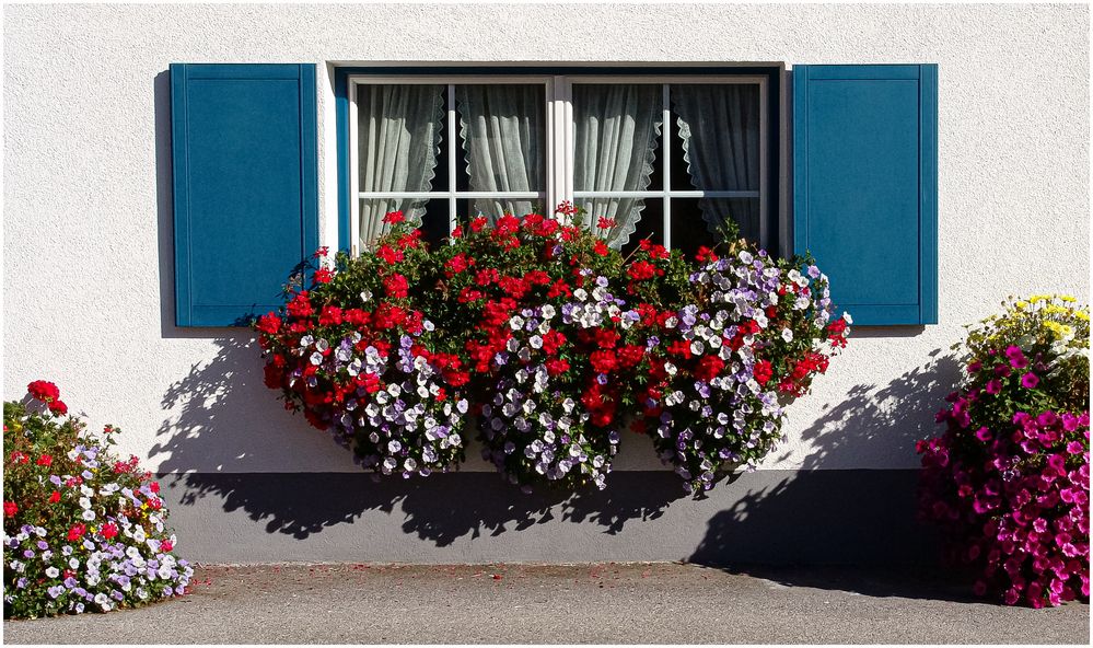 Blumenschmuck am Fenster 