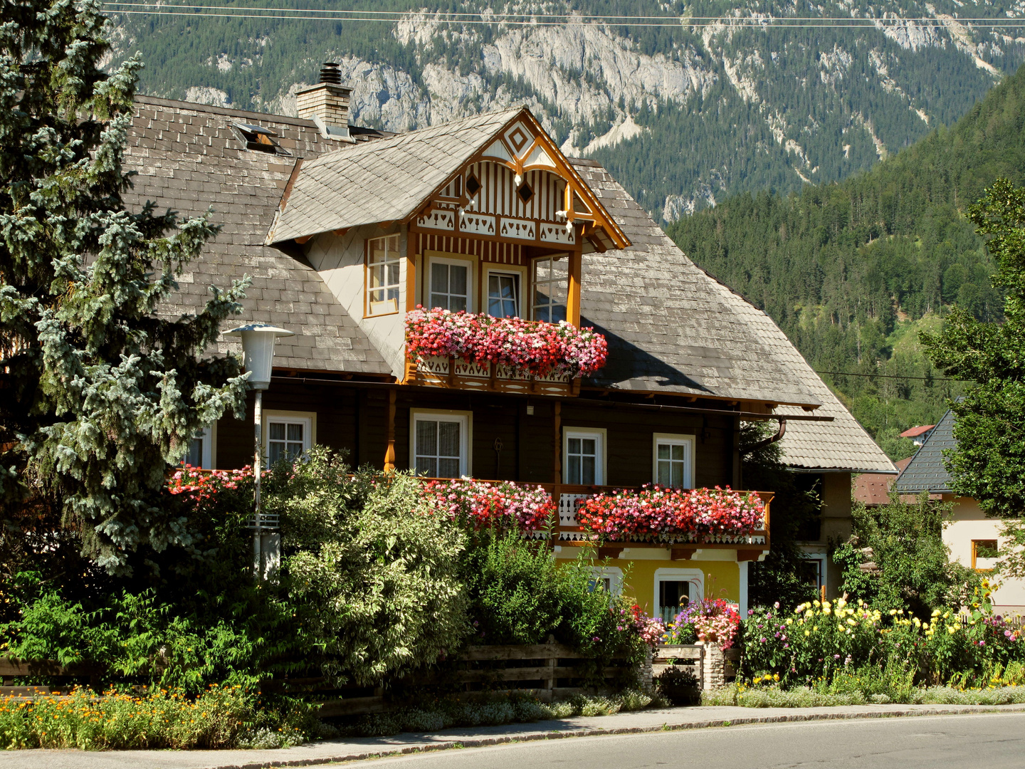 Blumenschmuck am Fuße des Dachstein