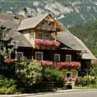 Blumenschmuck am Fuße des Dachstein