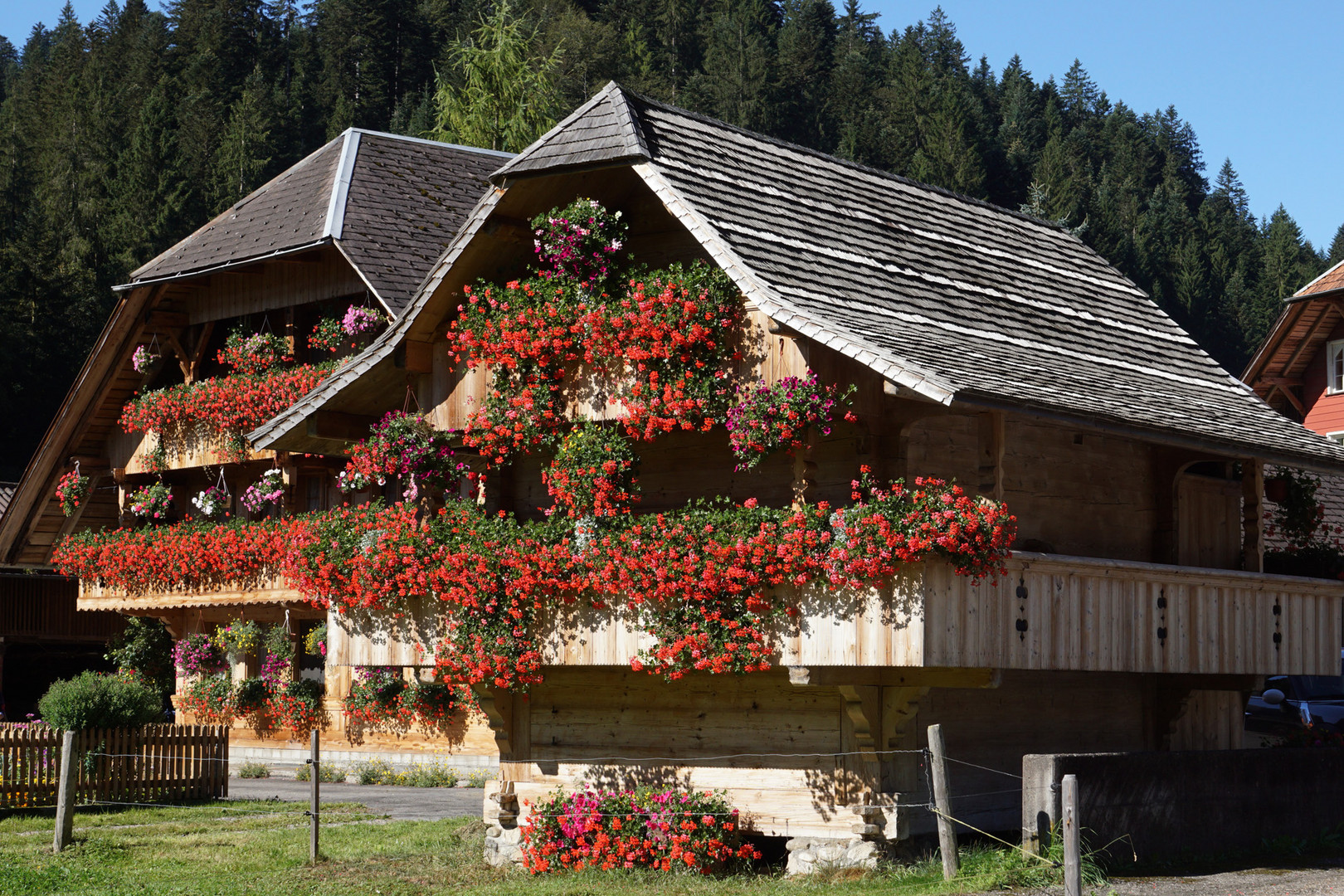 Blumenschmuck am Spycher 3