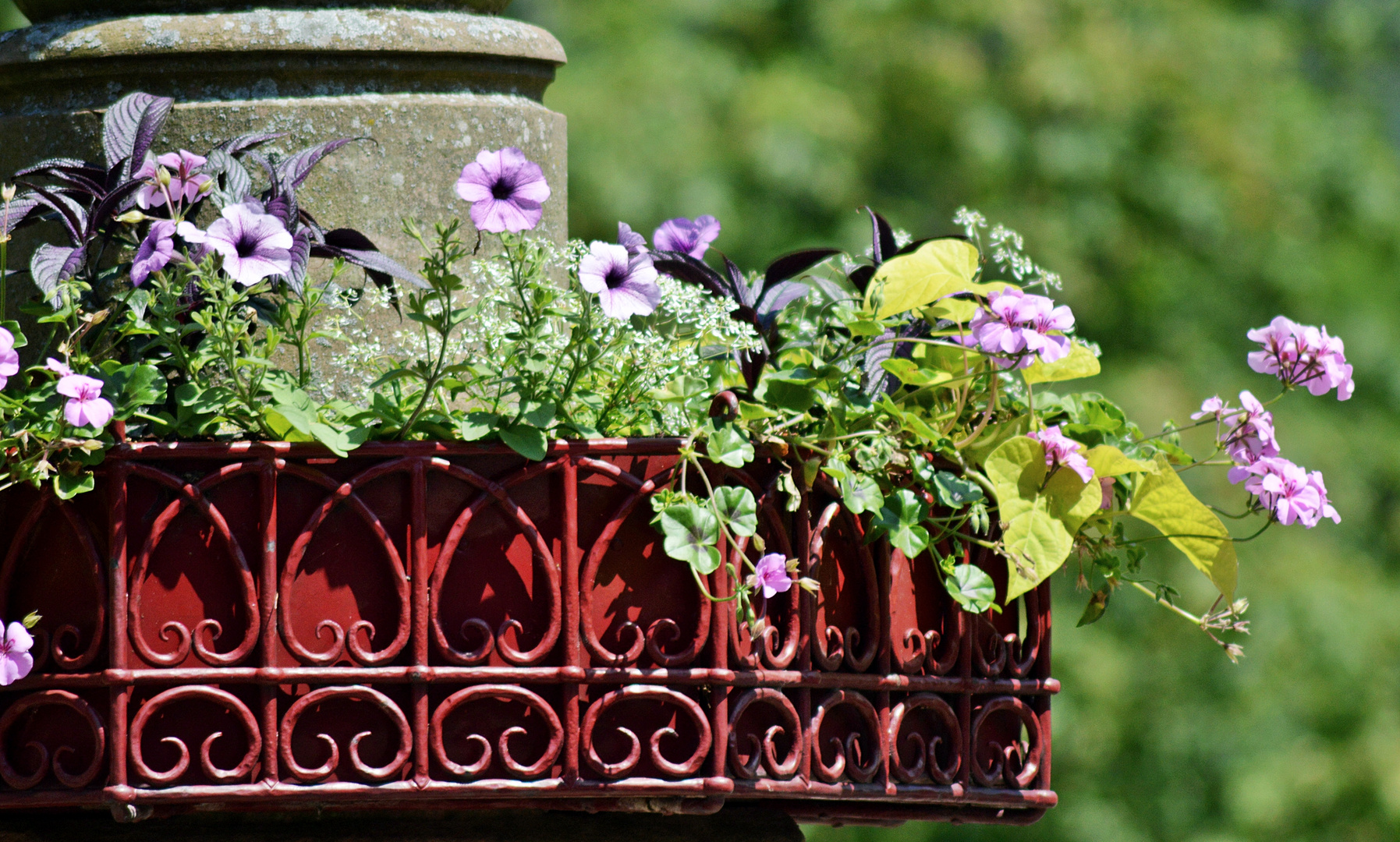 Blumenschmuck -geschmiedet