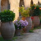 Blumenschmuck im Kloster Arkadi auf Kreta