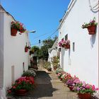 Blumenschmuck in Alberobello