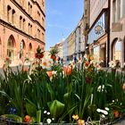 Blumenschmuck in der leergefegten Innenstadt