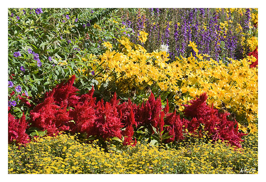 Blumenschmuck in Meersburg