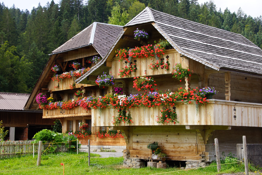 Blumenschmuck in Rötenbach-CH